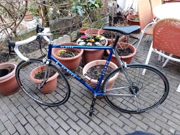 Used De Rosa De Rosa Custom Campagnolo Record 1985 Road & Gravel — image 11 of 11