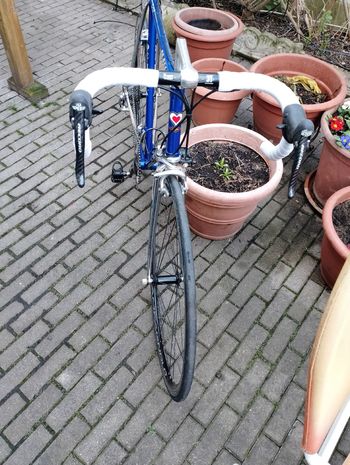 Used De Rosa De Rosa Custom Campagnolo Record 1985 Road & Gravel — image 7 of 11