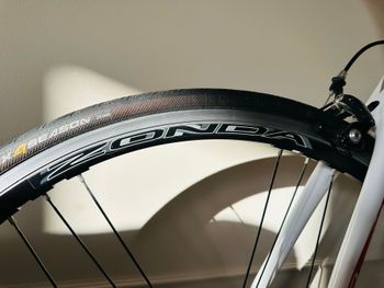 Used Fondriest Fondriest Custom Campagnolo Chorus 2013 Road & Gravel, White — image 18 of 23
