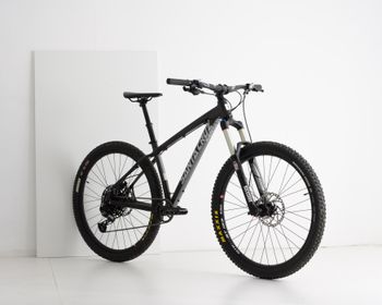 Santa Cruz, Alu NX Eagle