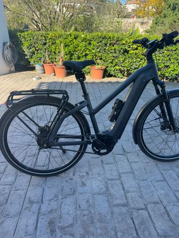 Riese & Müller, Riese & Müller Custom