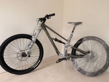 Canyon, Spectral 5 2025