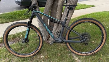 Canyon, Lux Trail CF 8 2022