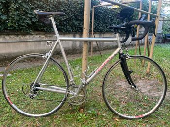 dario pegoretti, Dario pegoretti Custom Campagnolo Record