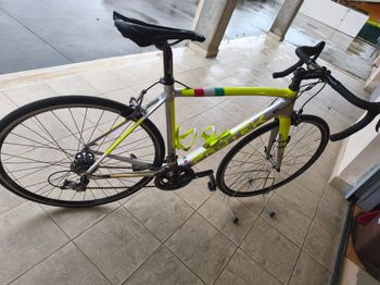 Used Protek PROTEK SK.4 Carbon Monovoque 2017 Road & Gravel
