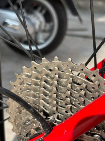 Used Focus IZALCO RACE Ultegra 2018 2018 Road & Gravel, Red — image 8 of 8