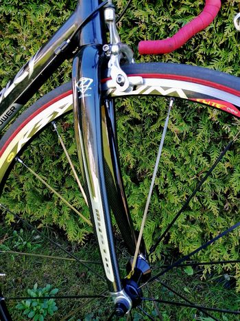 Used Ridley Ridley Custom Other Campagnolo 2005 Road & Gravel — image 7 of 7