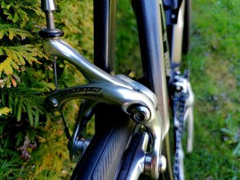 Used Ridley Ridley Custom Other Campagnolo 2005 Road & Gravel — image 5 of 7