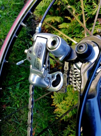 Used Ridley Ridley Custom Other Campagnolo 2005 Road & Gravel — image 3 of 7