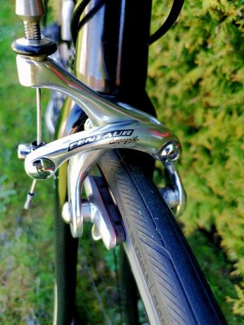 Used Ridley Ridley Custom Other Campagnolo 2005 Road & Gravel — image 4 of 7