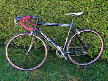 Used Ridley Ridley Custom Other Campagnolo 2005 Road & Gravel