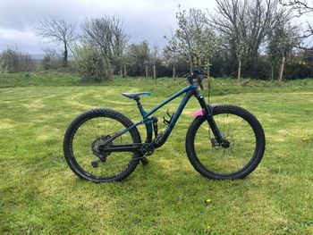 Trek, Fuel EX 8 2022
