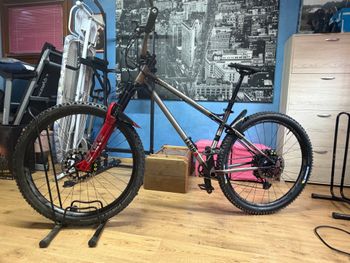 Used terrabike Terrabike Custom Other 2024 Mountainbike, Light Gray — image 15 of 15
