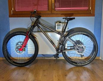Used terrabike Terrabike Custom Other 2024 Mountainbike, Light Gray — image 3 of 15