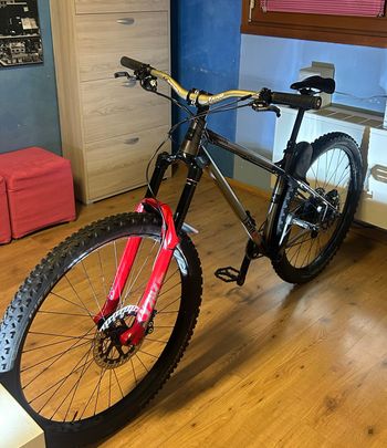 Used terrabike Terrabike Custom Other 2024 Mountainbike, Light Gray — image 1 of 15