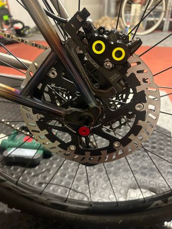 Used terrabike Terrabike Custom Other 2024 Mountainbike, Light Gray — image 4 of 15