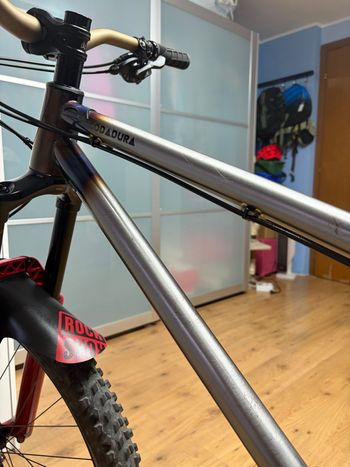 Used terrabike Terrabike Custom Other 2024 Mountainbike, Light Gray — image 14 of 15