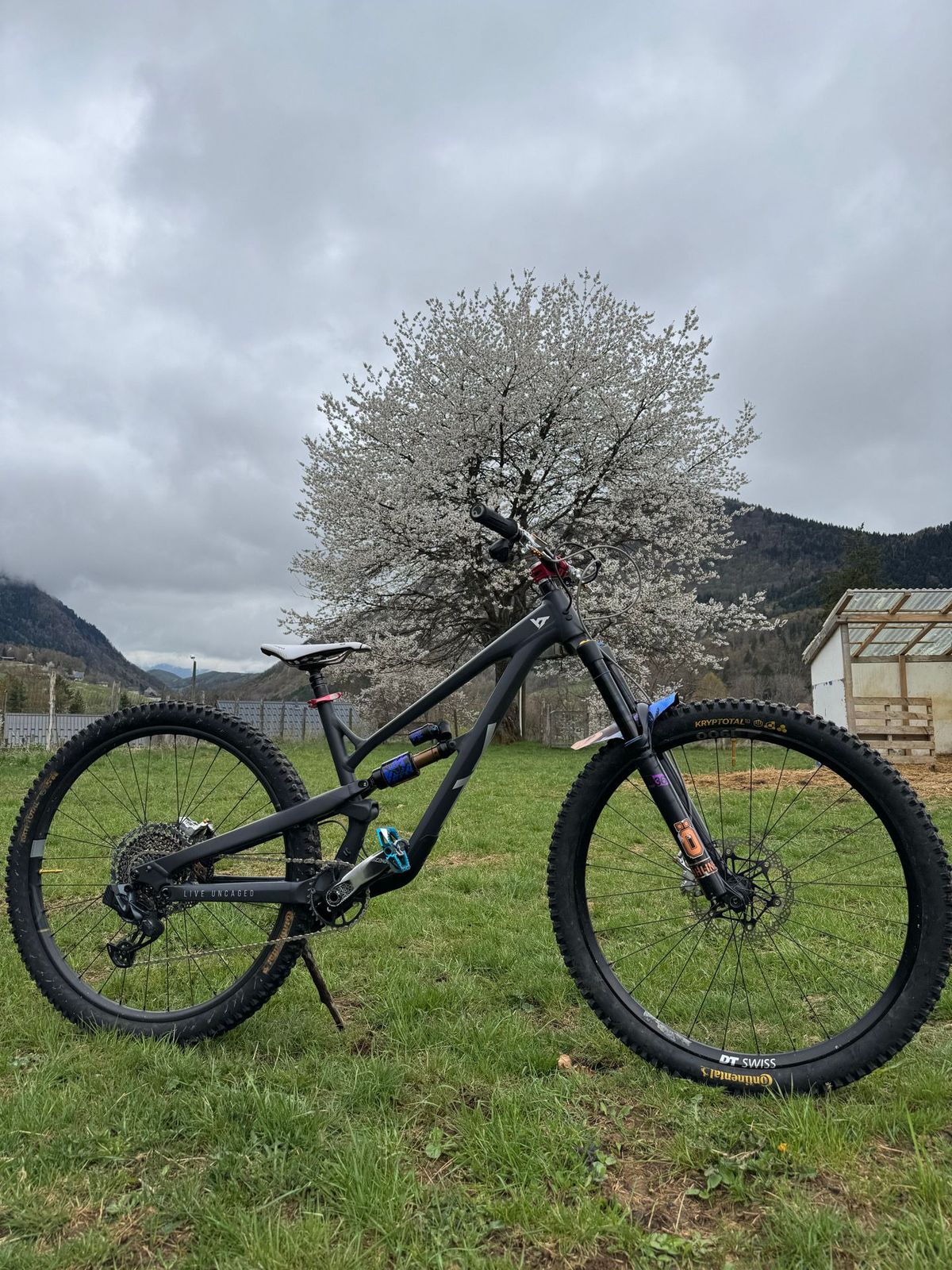 Yt Jeffsy | buycycle