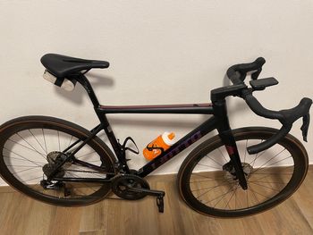 Liotto, Aquila Super Leggera