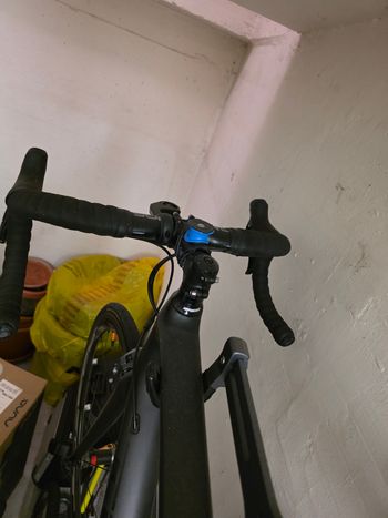 Used Trek Émonda SL 6 2017 2017 Road & Gravel, Black — image 5 of 8