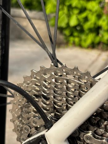 Used Focus IZALCO RACE 105 2018 2018 Road & Gravel, Red — image 7 of 7