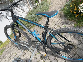 Centurion, Backfire Pro 29