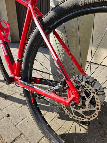 Used Focus Black Forest PRO XT 29 2017 2017 Mountainbike, Red — image 7 of 13