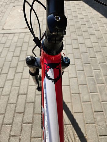 Used Focus Black Forest PRO XT 29 2017 2017 Mountainbike, Red — image 9 of 13