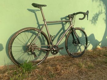 Pilot, Celes Shimano Ultegra
