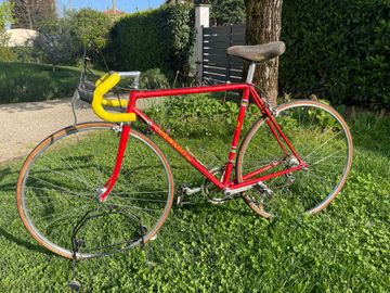 Used Colnago Custom Other Campagnolo 1984 Road & Gravel, Red — image 1 of 12