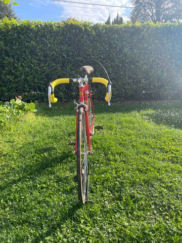 Used Colnago Custom Other Campagnolo 1984 Road & Gravel, Red — image 9 of 12