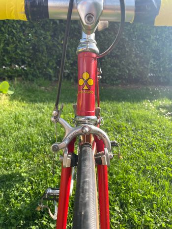 Used Colnago Colnago Custom Other Campagnolo 1984 Road & Gravel, Rosso — image 8 of 12