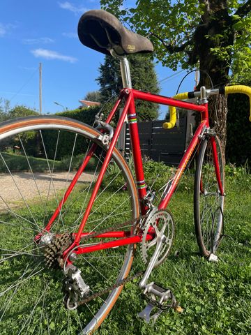 Used Colnago Custom Other Campagnolo 1984 Road & Gravel, Red — image 12 of 12
