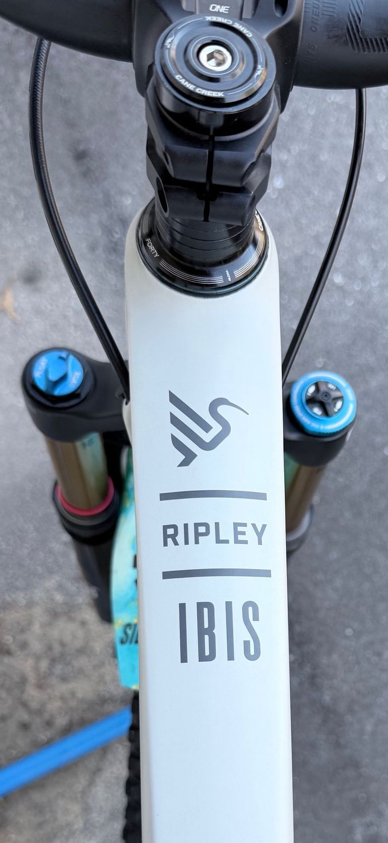 Used Ibis Ripley V4S Carbon Drywall Large 2023 Mountainbike, Light Gray — image 24 of 26