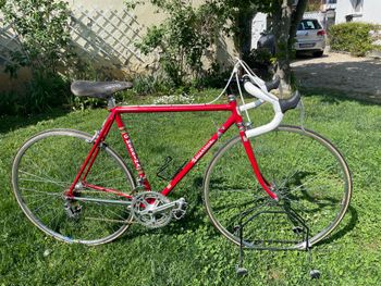 Cinelli, Cinelli Custom Other Campagnolo