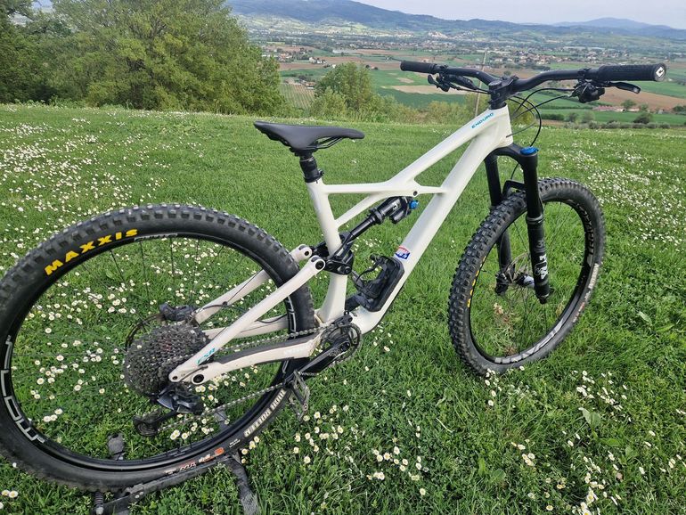 Used Specialized Enduro Elite 29 2019 2019 Mountainbike, Weiß, 29 — image 1 of 8