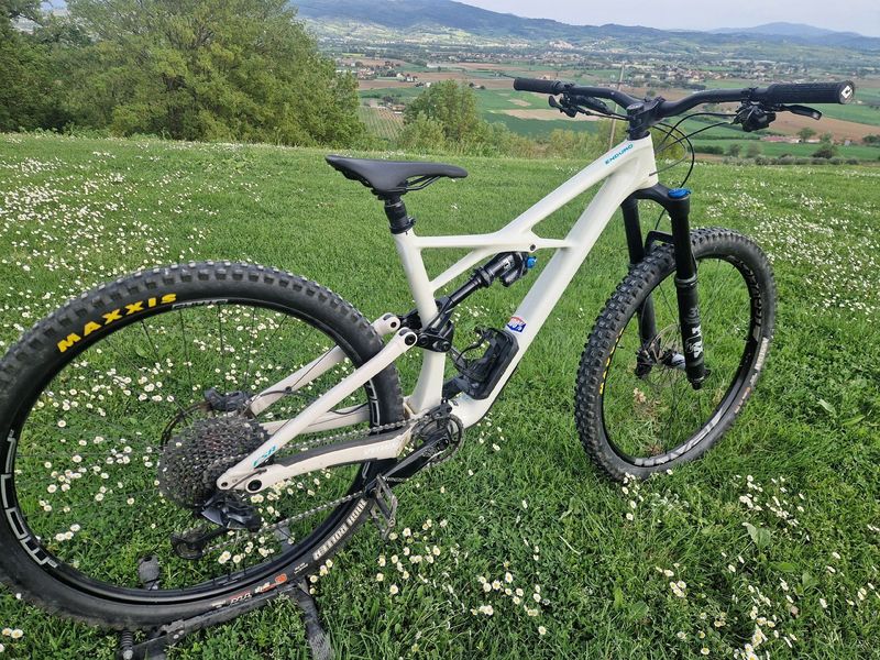 Brugt Specialized Enduro Elite 29 2019 2019 Mountainbike — billede 1 af 8
