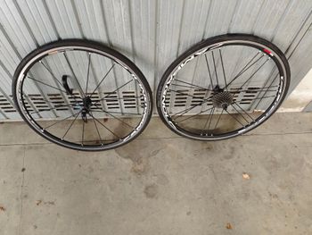 Used Prestigio Prestigio Custom Campagnolo Chorus 2009 Road & Gravel, Rosso — image 3 of 3