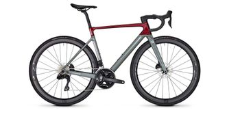 Focus, IZALCO MAX 8.9 2024