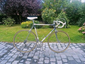 Peugeot Custom Simplex Vintage 1975 Road & Gravel d'occasion — image 7 sur 10