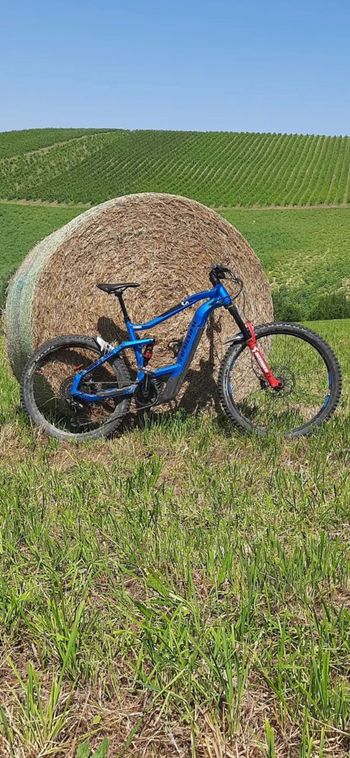 Haibike, AllMtn 3 2021