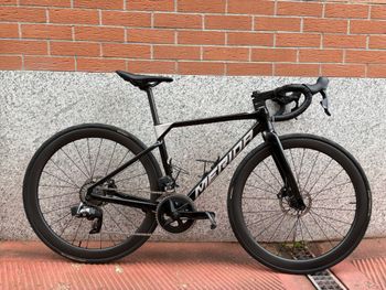 Merida, SCULTURA RIVAL-EDITION 2023
