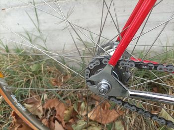 Used messina Messina Custom Other Campagnolo 1982 Road & Gravel — image 6 of 18