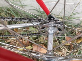 Used messina Messina Custom Other Campagnolo 1982 Road & Gravel — image 14 of 18
