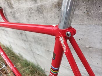 Used messina Messina Custom Other Campagnolo 1982 Road & Gravel — image 15 of 18