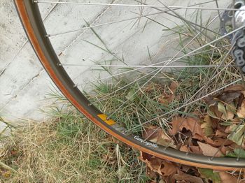 Used messina Messina Custom Other Campagnolo 1982 Road & Gravel — image 5 of 18