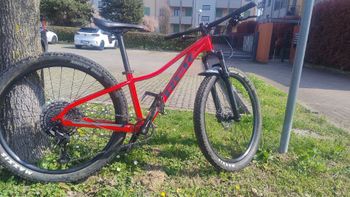 Trek, Marlin 8 2022