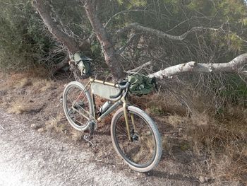 Used Specialized Crux Expert 2024 2024 Road & Gravel, Orange — image 8 of 8
