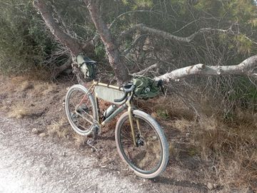 Used Specialized Crux Expert 2024 2024 Road & Gravel, Orange — image 8 of 9
