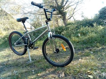 Raleigh, BMX Old School Cadre Chrome